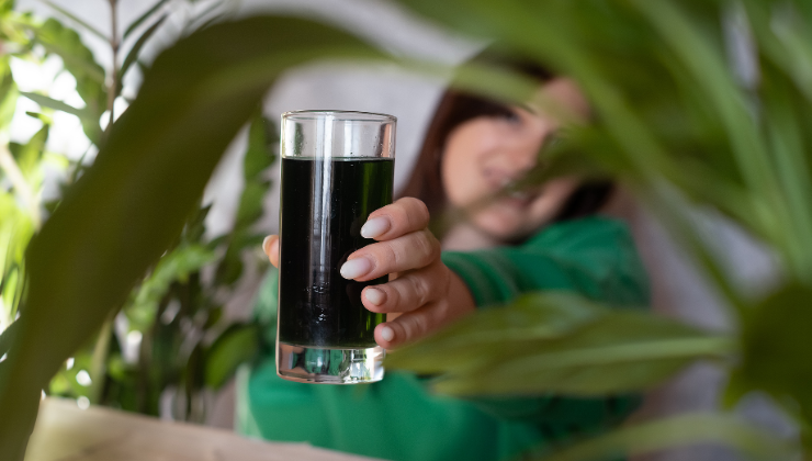 Beneficios del agua con clorofila