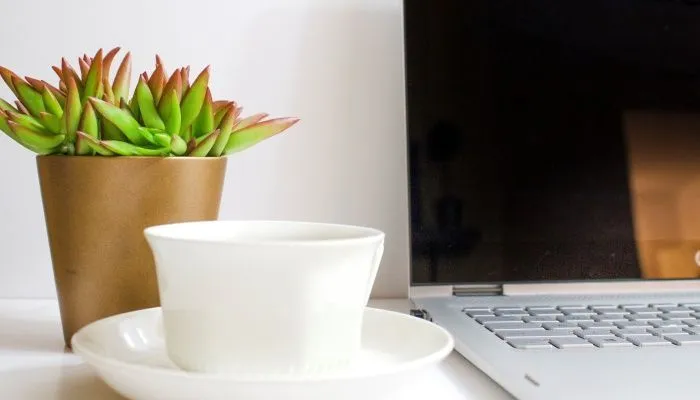 para qué sirve el té verde chino