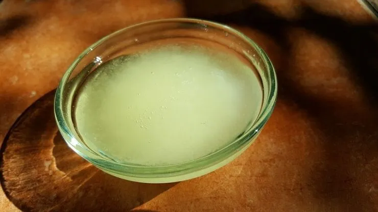 Tratamientos caseros para rejuvenecer la piel