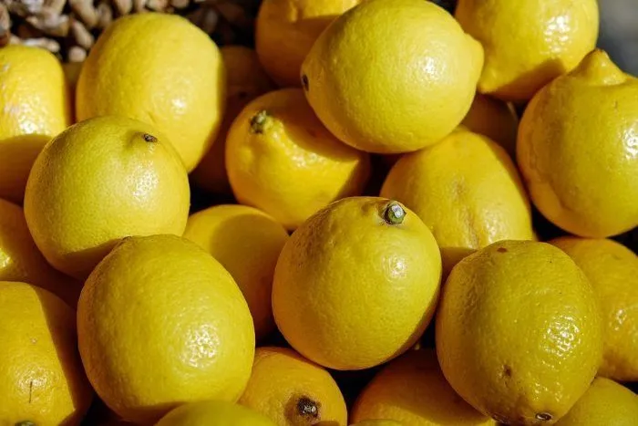 scarilla de miel y lim&oacute;n 