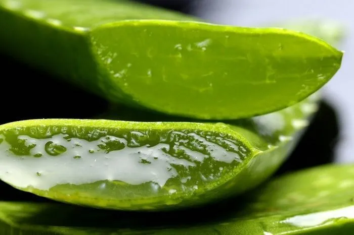 Aloe Vera Para La Caspa