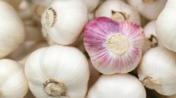 beneficios del ajo en la belleza