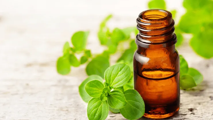 Beneficios del aceite de or&eacute;gano