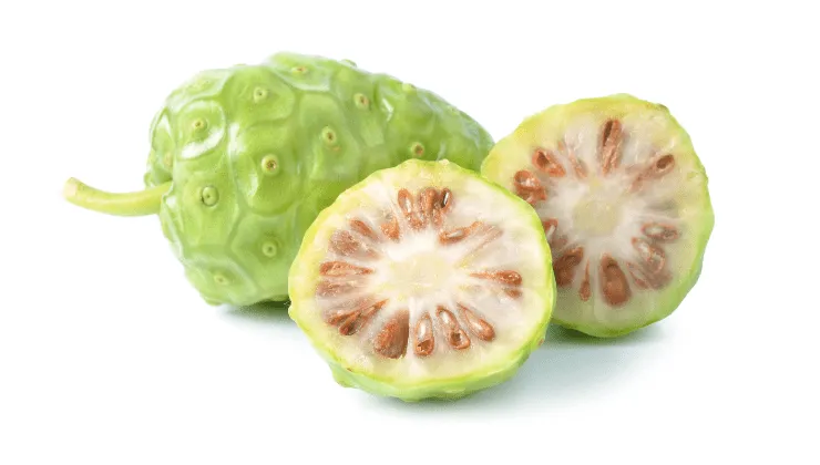 Beneficios del noni