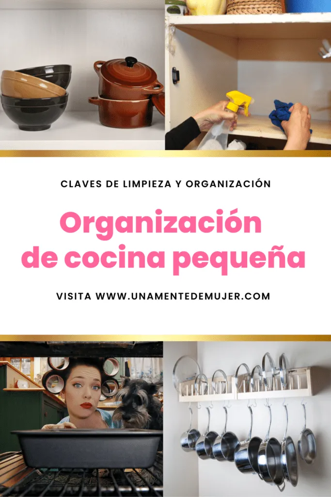 Organizacion De Cocina Pequena