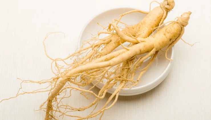 Beneficios Del Ginseng En La Mujer