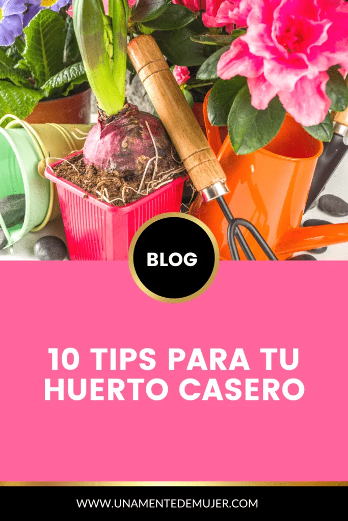 10 Tips Para Huertos Caseros