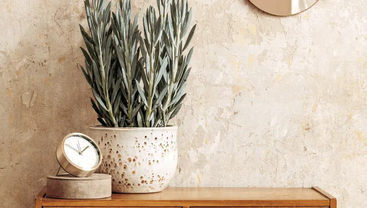 Decoraci&oacute;n Wabi Sabi